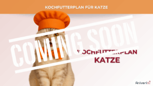 Futterplan selbstgekocht(e Ration) Katze