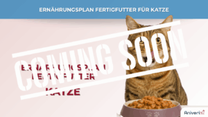 Ernährungsplan Fertigfutter Katze