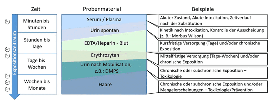 Eine Grafik, die eine Übersicht über verschiedene Probenmaterialien und deren Expositionszeiträume aufzeigt.