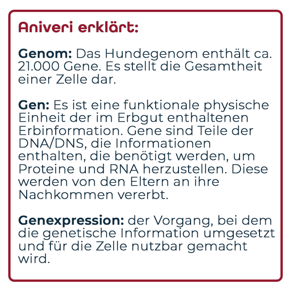 Eine Infografik zu den Begriffen Genom, Gen und Genexpression.