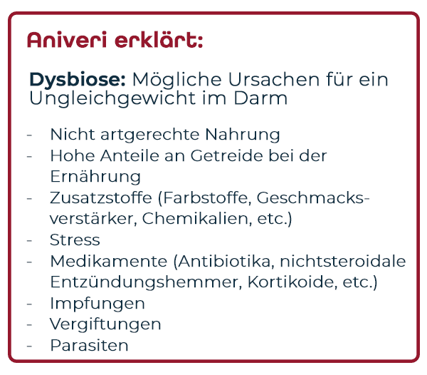 Eine Grafik, welche den Begriff Dysbiose erklärt und mögliche negative Einflüsse auf die Darmgesundheit aufzeigt.