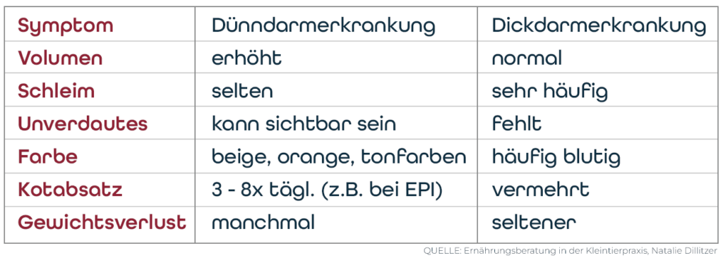 Eine Grafik zur Darstellung der Unterschiede zwischen Dünndarm- und Dickdarmdiarrho und deren Symptome.