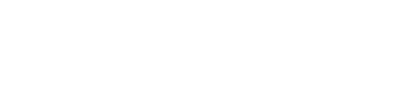 light logo