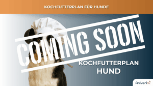 Futterplan selbstgekocht(e Ration) Hund