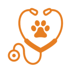 WEBSITE PHOTOS ORDNER 2 (1) WEBSITE PHOTOS ORDNER 2 (1)