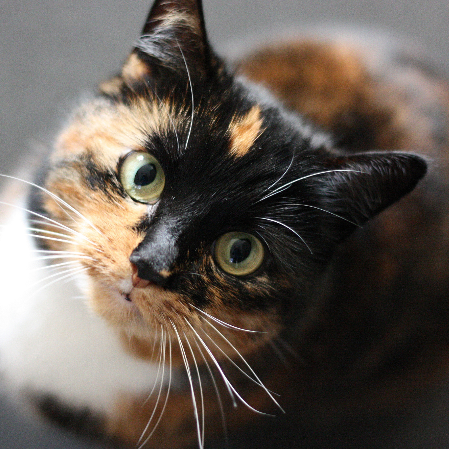 WEBSITE PHOTOS ORDNER 2 (4)