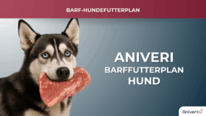 Individueller BARF Futterplan für deinen Hund mit Aniveri