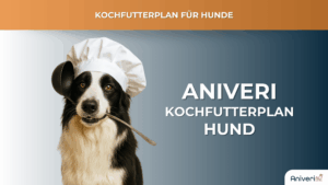 Futterplan selbstgekocht(e Ration) Hund