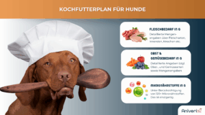 Futterplan selbstgekocht(e Ration) Hund – Bild 2