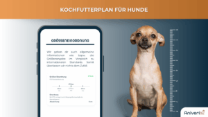 Futterplan selbstgekocht(e Ration) Hund – Bild 6