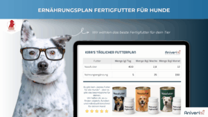 Ernährungsplan Fertigfutter Hund – Bild 2