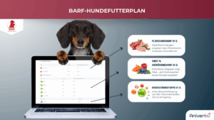 Dackel zeigt BARF-Hundefutterplan mit Angaben zu Fleisch, Gemüse und Mikronährstoffen auf einem Laptop