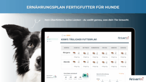 Ernährungsplan Fertigfutter Hund – Bild 3