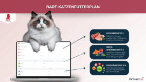 Katze sitzt auf Laptop mit BARF-Futteranalyse