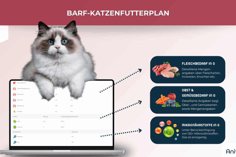 Katze sitzt auf Laptop mit BARF-Futteranalyse