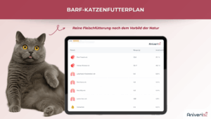 Tablet mit BARF-Fleischanteil für Katzen und graue Katze