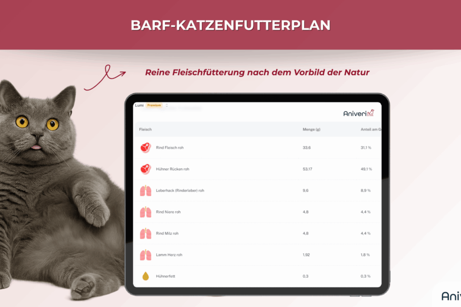 Tablet mit BARF-Fleischanteil für Katzen und graue Katze