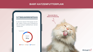 Aniveri App mit Futterzusammensetzung & rote Langhaarkatze