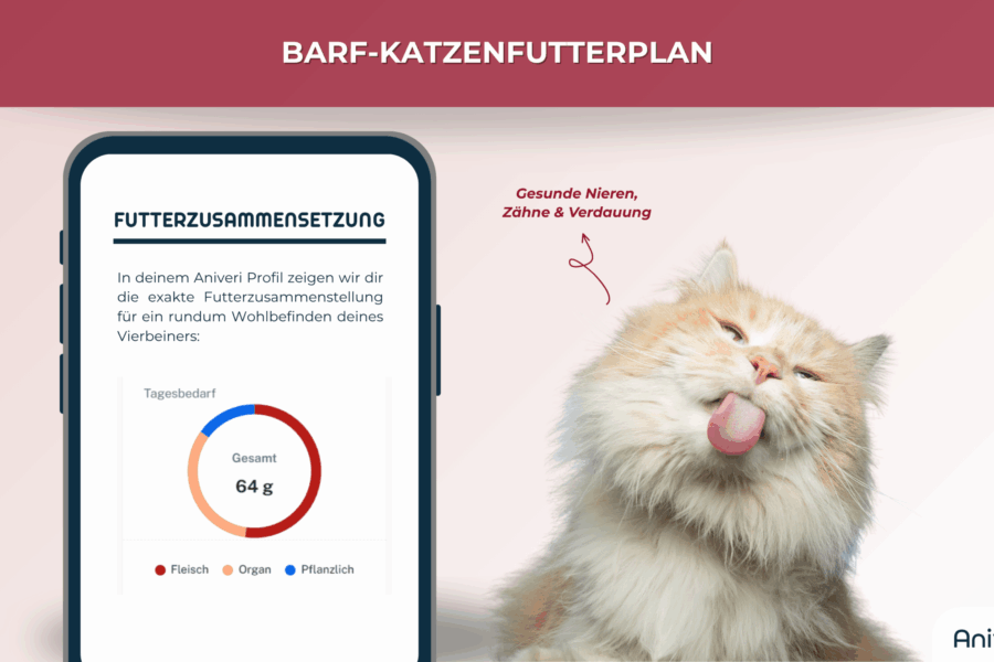 Aniveri App mit Futterzusammensetzung & rote Langhaarkatze