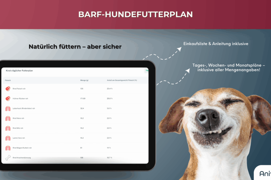BARF-Futterplan für Hunde mit Tages-, Wochen- und Monatsübersicht auf Tablet