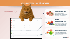 Futterplan selbstgekocht(e Ration) Katze – Bild 2