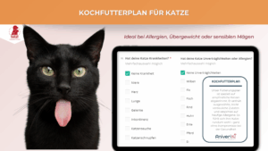 Futterplan selbstgekocht(e Ration) Katze – Bild 7