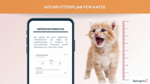 Futterplan selbstgekocht(e Ration) Katze – Bild 5