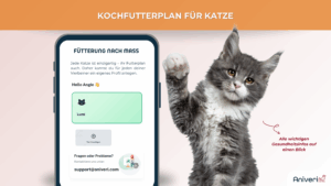 Futterplan selbstgekocht(e Ration) Katze – Bild 4