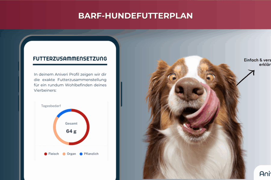 Smartphone zeigt die exakte Futterzusammensetzung im BARF-Plan von Aniveri