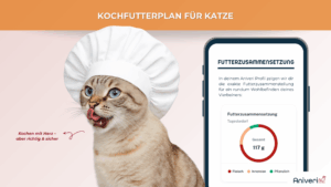 Futterplan selbstgekocht(e Ration) Katze – Bild 3