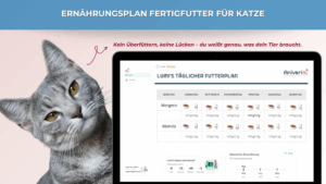 Ernährungsplan Fertigfutter Katze – Bild 6