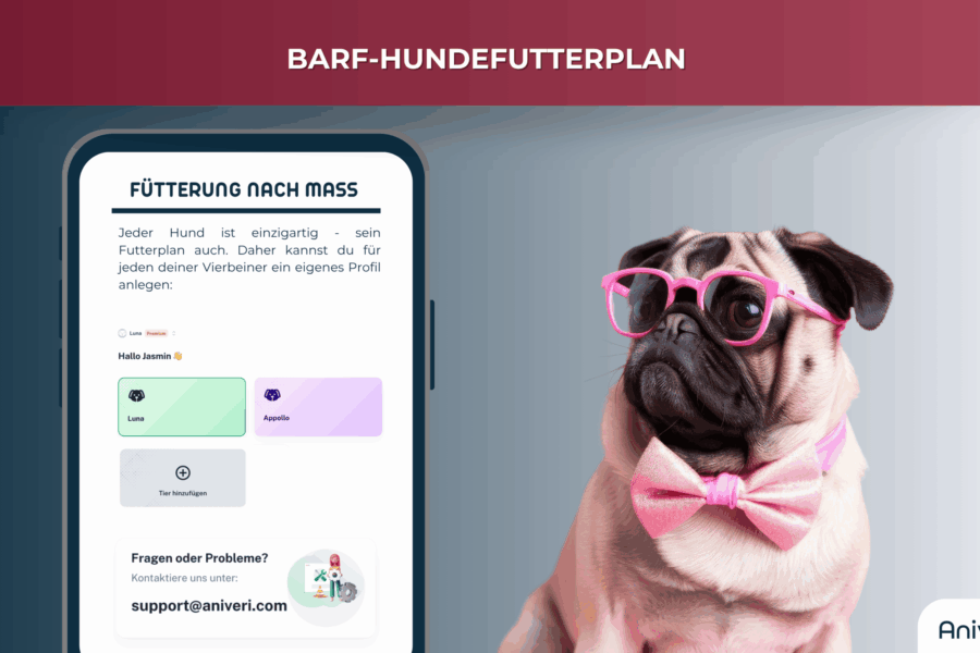 Pug mit rosa Brille und Fliege neben Smartphone mit personalisiertem BARF-Hundefutterplan
