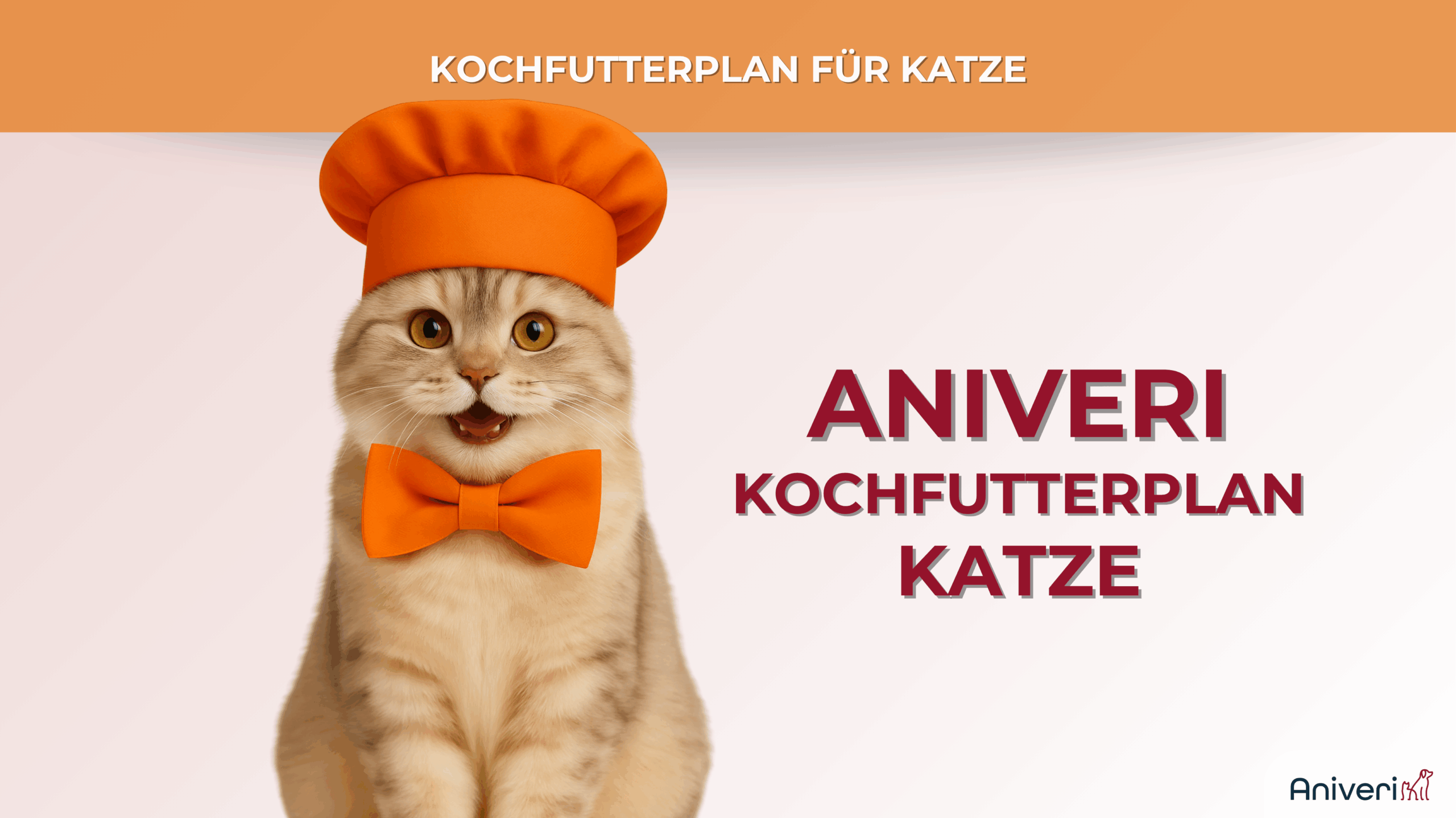 Futterplan selbstgekocht(e Ration) Katze
