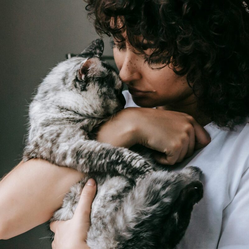 Frau mit Katze im Arm – liebevoller Moment zur Illustration artgerechter Katzenfütterung mit BARF-Futterplan.