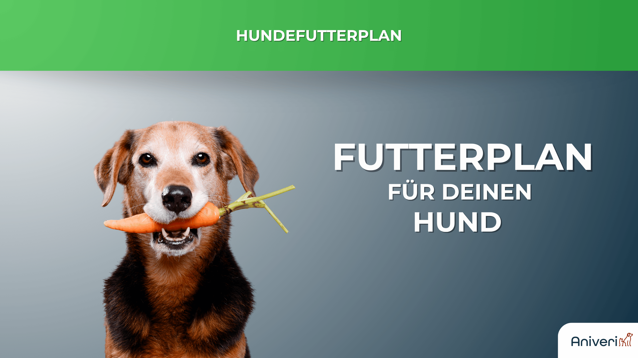 Hund hält Karotte im Maul vor grünem Banner mit Schriftzug Futterplan für deinen Hund – individueller Hundefutterplan von aniveri