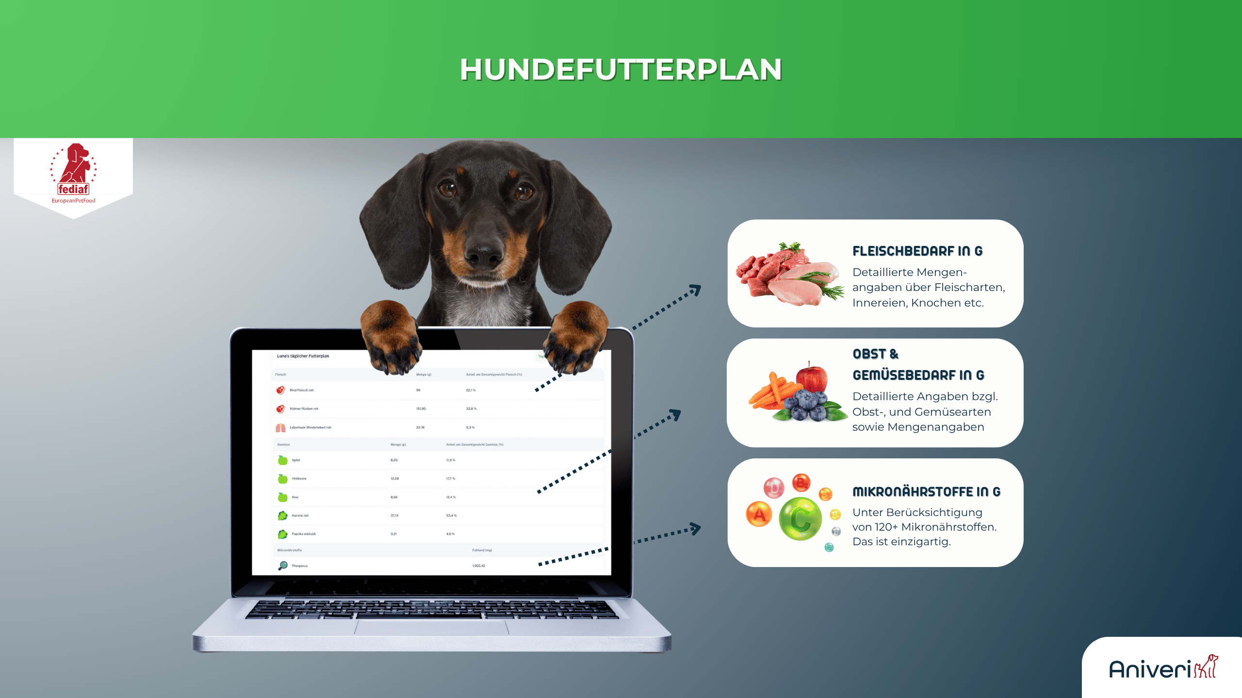 Dackel sitzt hinter Laptop mit aniveri Hundefutterplan und Infografik zu Fleisch-, Gemüse- und Mikronährstoffbedarf