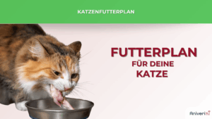 Katze frisst rohes Fleisch aus einem Napf vor grünem Banner mit der Aufschrift Katzenfutterplan – individueller Futterplan für deine Katze von Aniveri