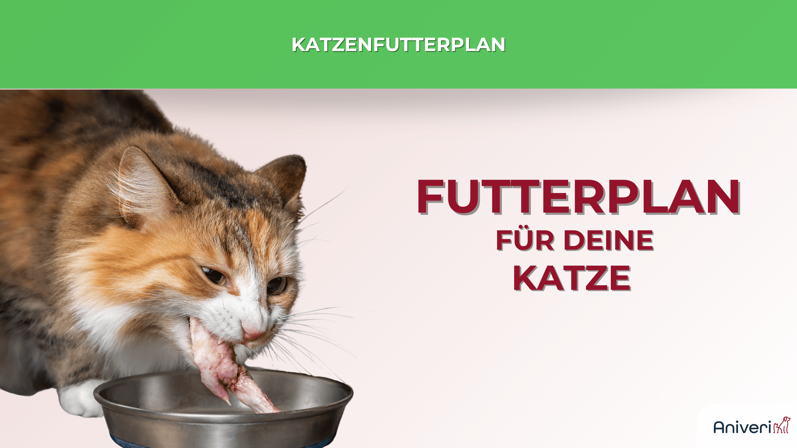 Katze frisst rohes Fleisch aus einem Napf vor grünem Banner mit der Aufschrift Katzenfutterplan – individueller Futterplan für deine Katze von Aniveri