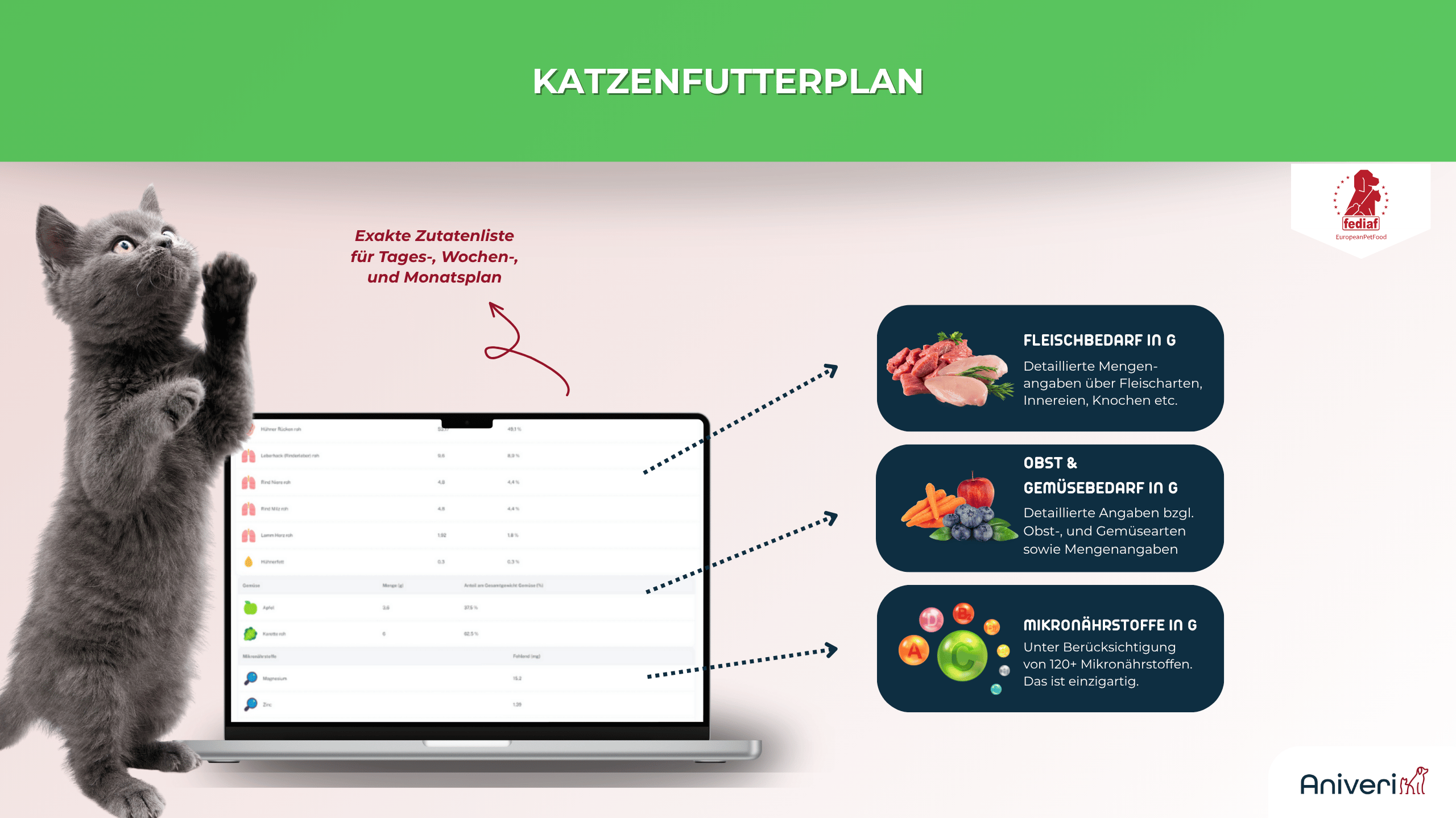 Graues Kätzchen steht vor Laptop mit aniveri Katzenfutterplan und Infografik zu Fleischbedarf, Obst- und Gemüsebedarf sowie Mikronährstoffen in Gramm
