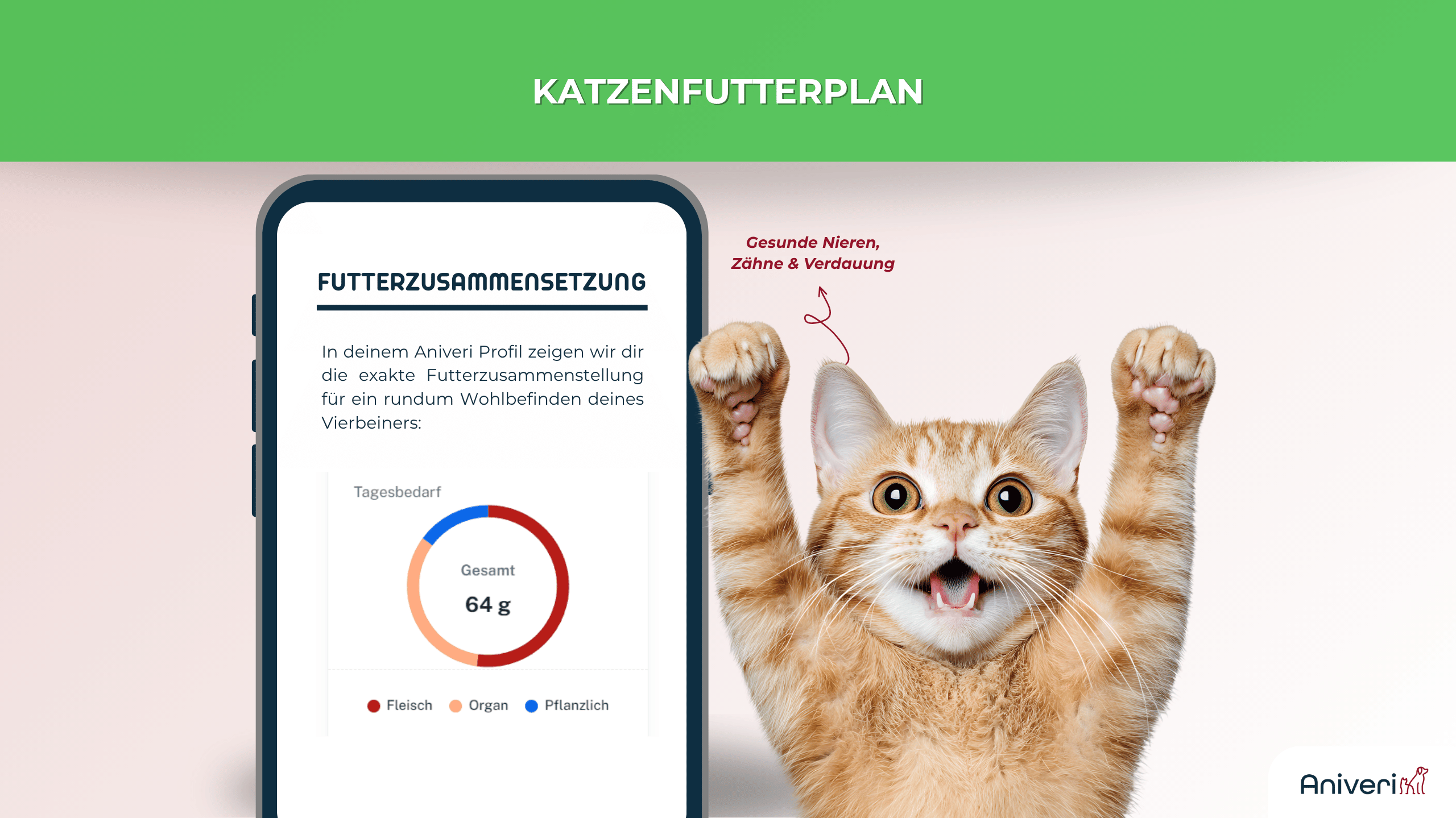 Smartphone zeigt Futterzusammensetzung im aniveri Katzenfutterplan neben orangefarbener Katze mit erhobenen Pfoten