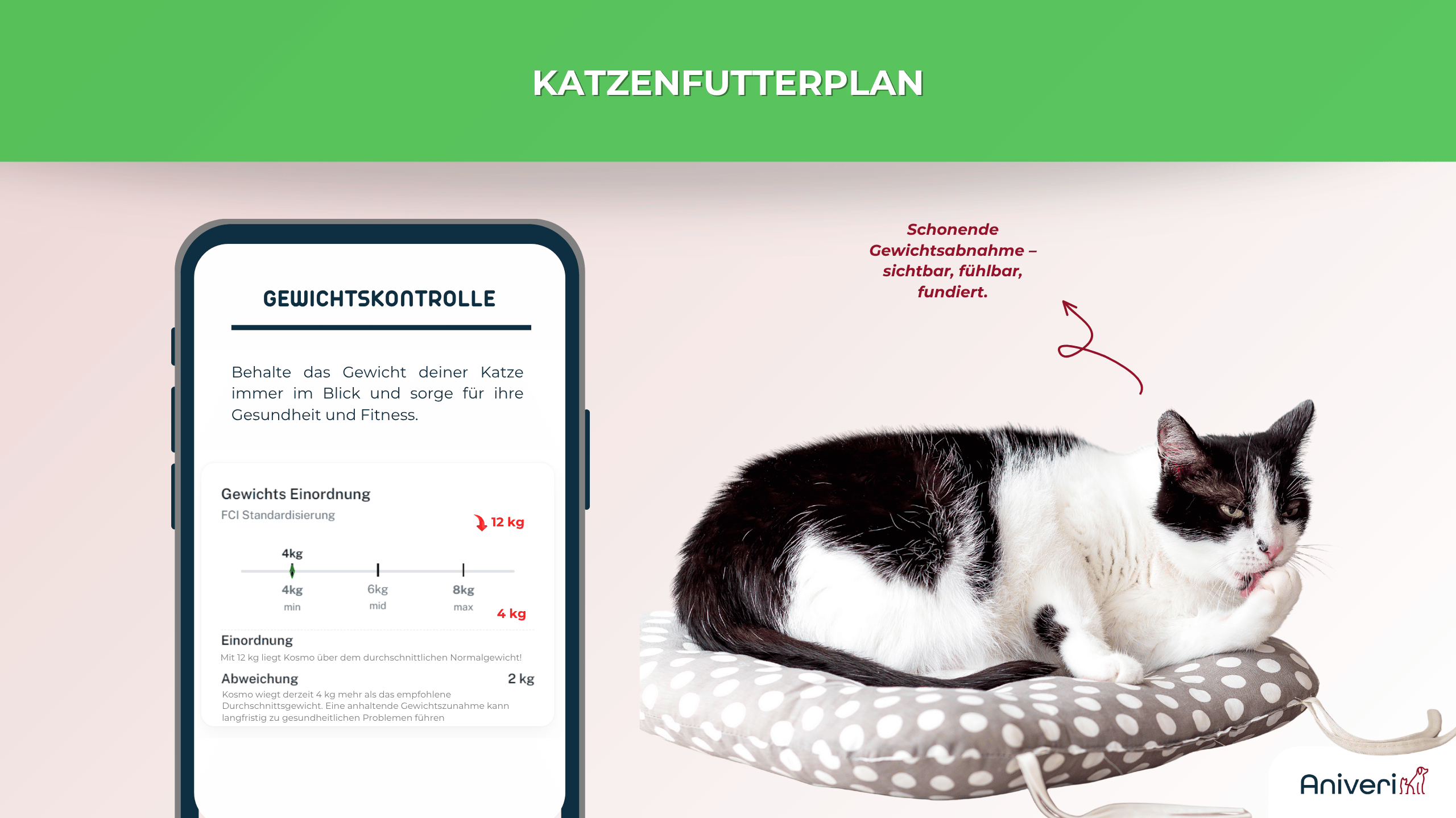 Smartphone mit Gewichtskontrolle im aniveri Katzenfutterplan neben schwarz-weißer Katze auf Kissen