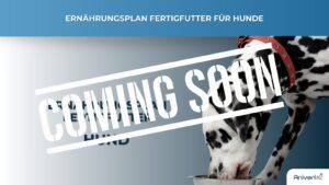 Ernährungsplan Fertigfutter Hund