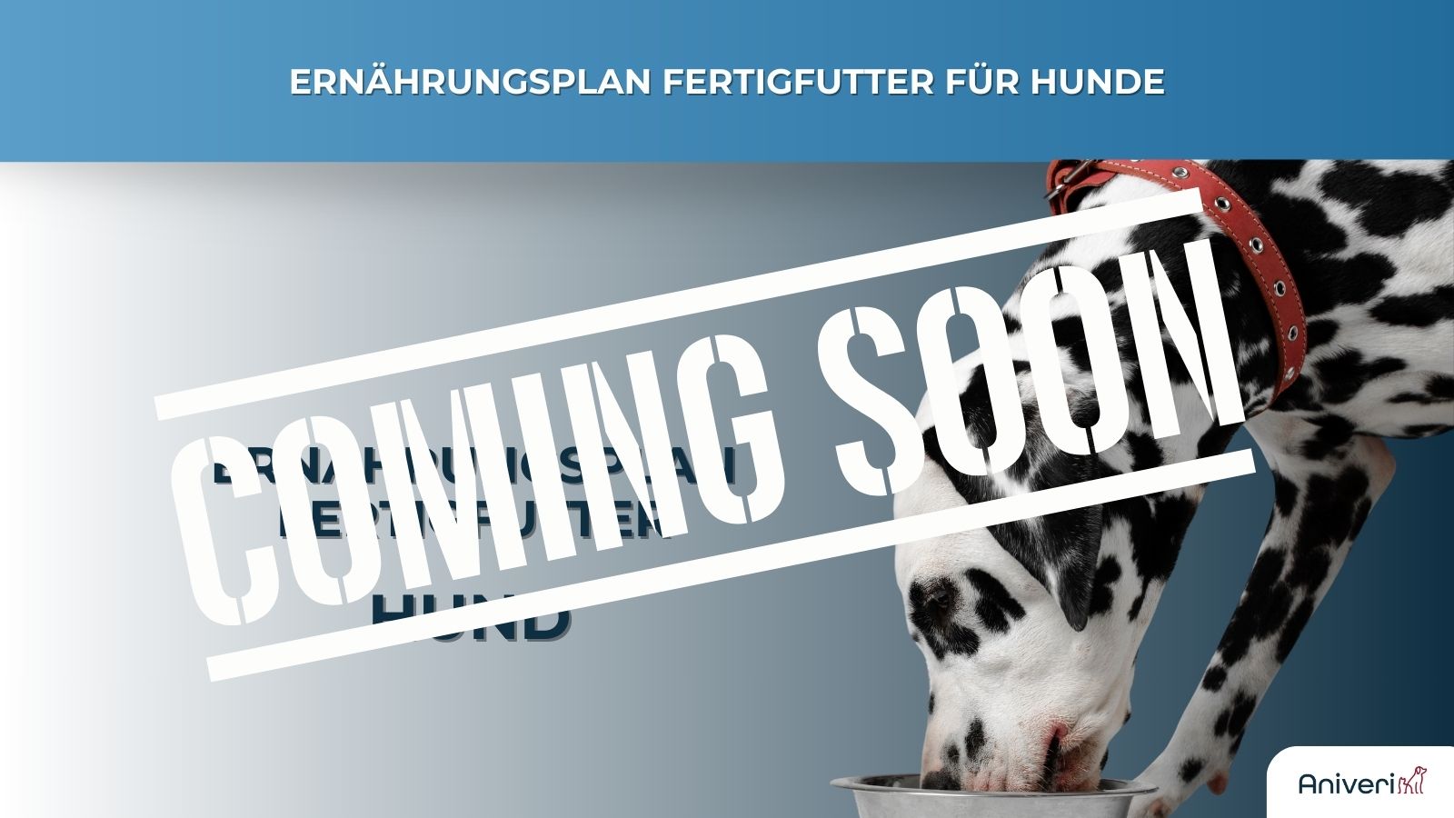Ernährungsplan Fertigfutter Hund
