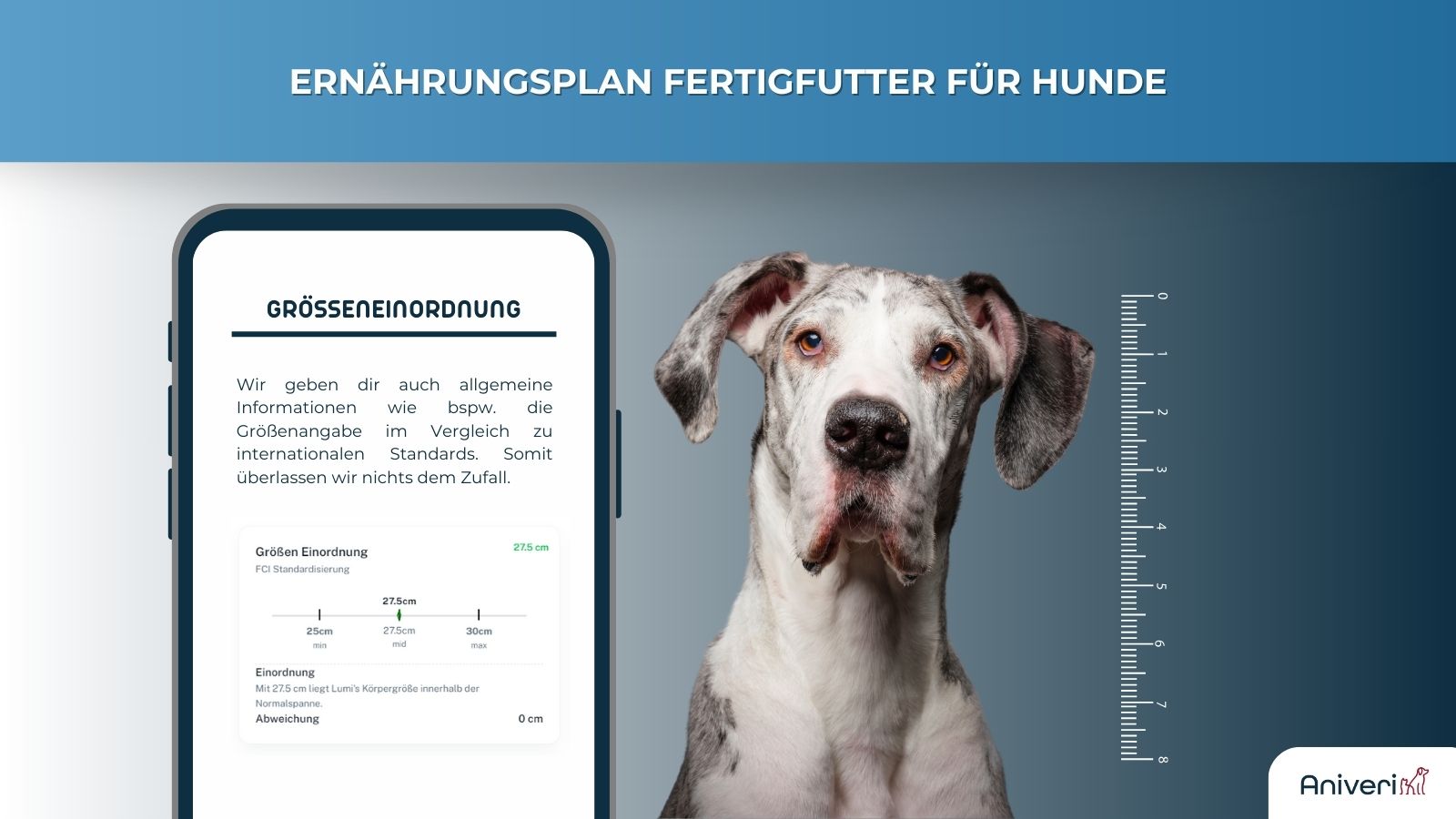 Ernährungsplan Fertigfutter Hund – Bild 7