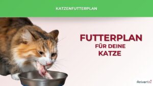 Katzenfutterplan - für 9,90 € mtl.