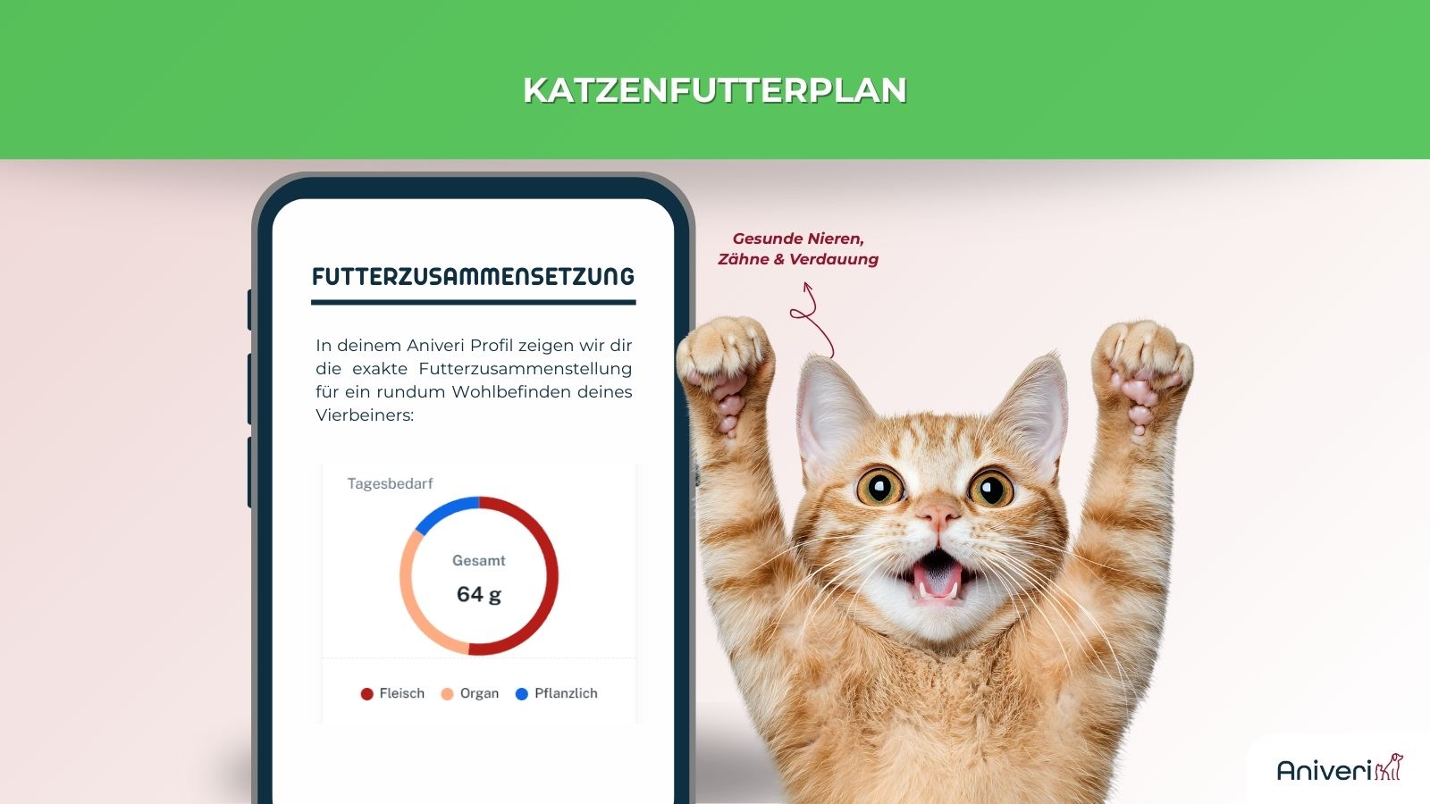 Futterplan für Katzen - für 9,90 € mtl. – Bild 4