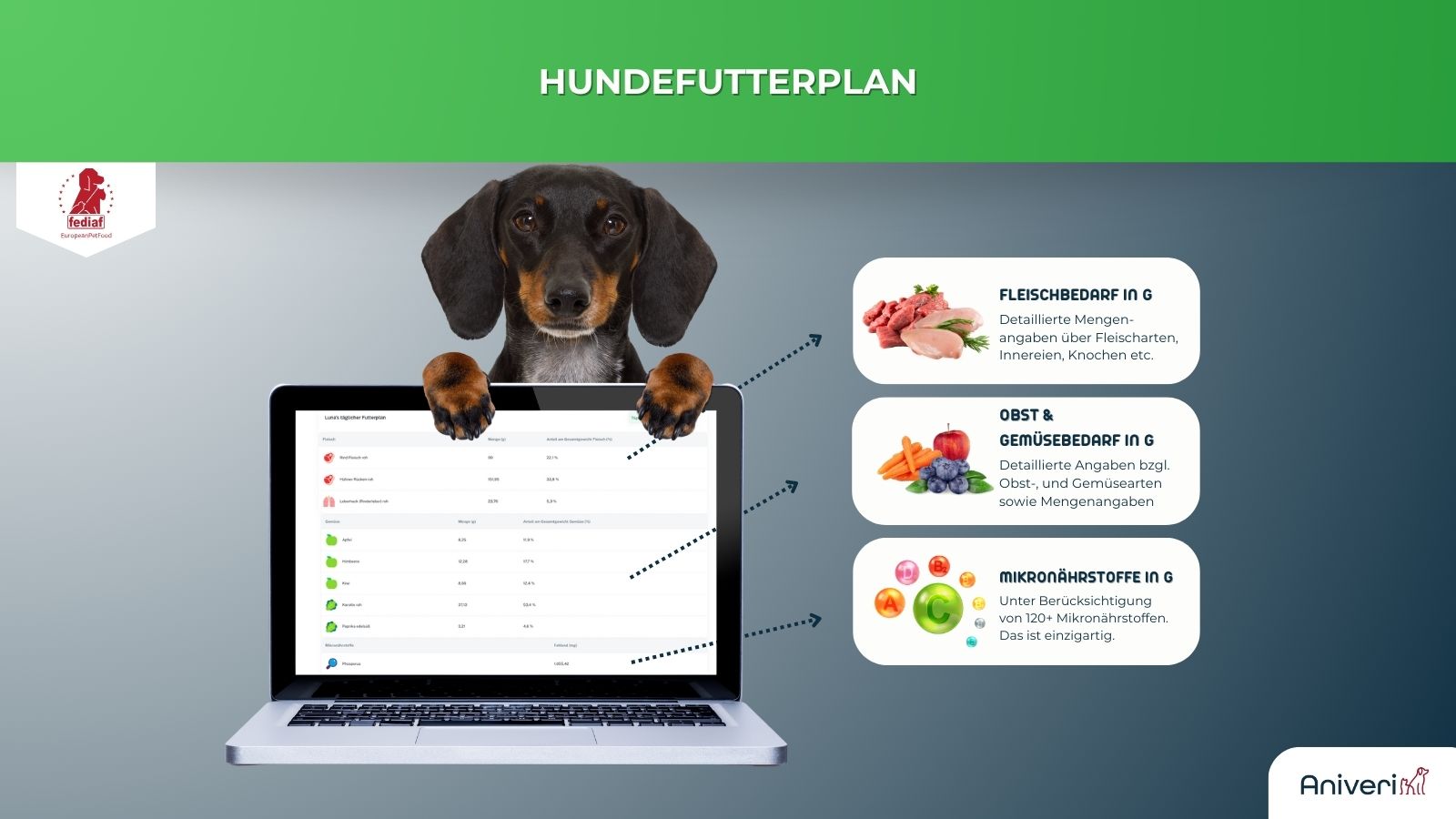 Futterplan für Hunde - für 9,90 € mtl. – Bild 2