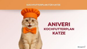 Futterplan selbstgekocht(e Ration) Katze