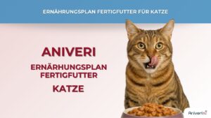 Ernährungsplan Fertigfutter Katze