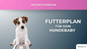 Futterplan für Hundewelpen - für 9,90 € mtl.